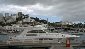 Missing Link in Torquay