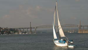 Tamar Bridges